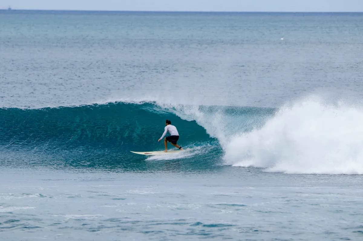 Surfer rides a smooth wave with precision and control.