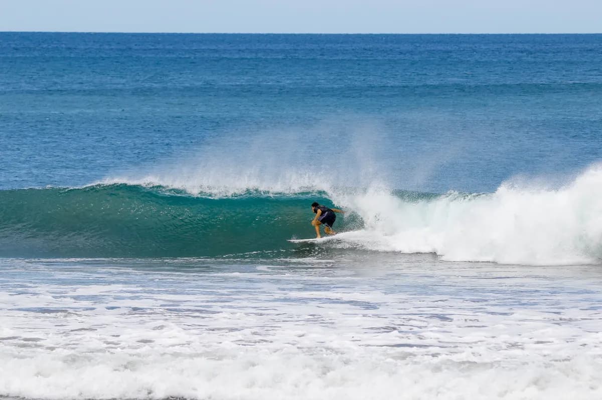 Surfer rides a perfect green wave, spray flying.
