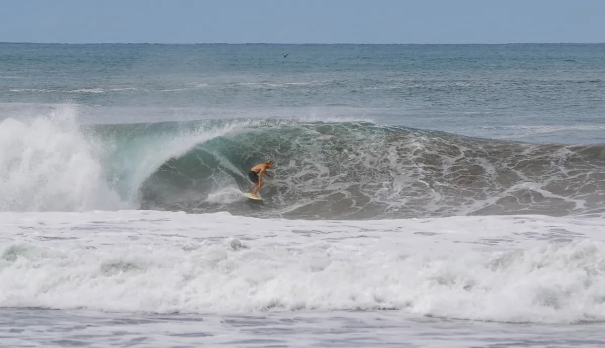Surfer rides inside a hollow barrel wave perfectly positioned.