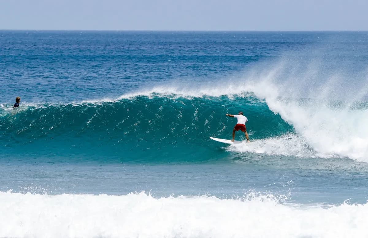 Surfer rides a perfect wave with spray trailing behind.