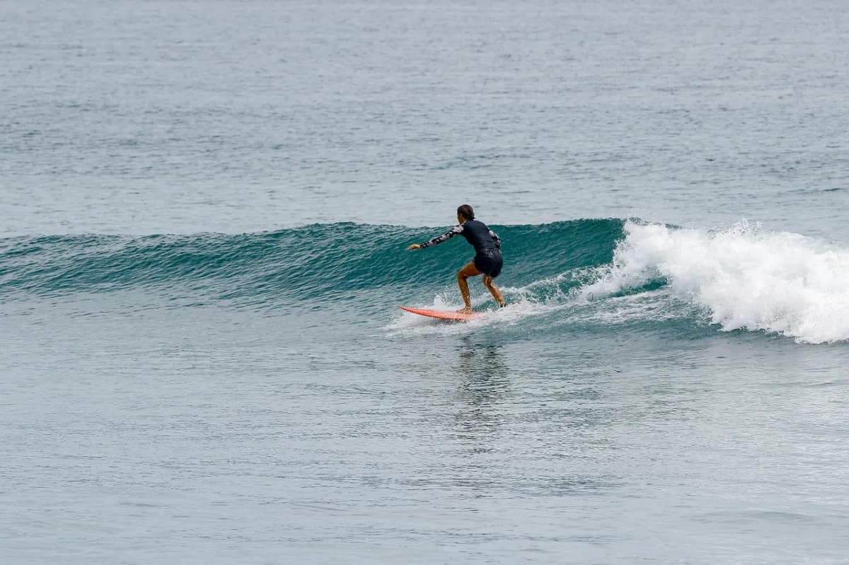 Surfer rides a small wave with skillful balance.