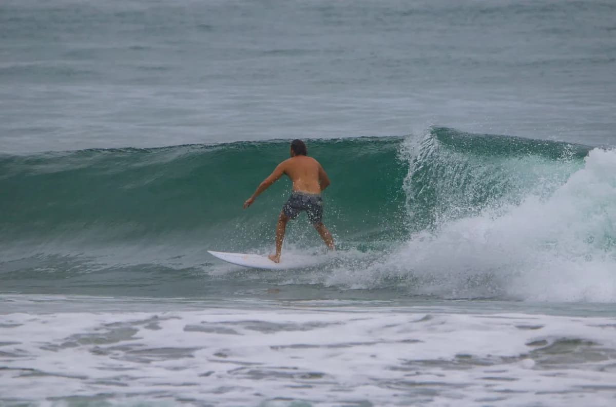 Surfer rides a small breaking wave smoothly.