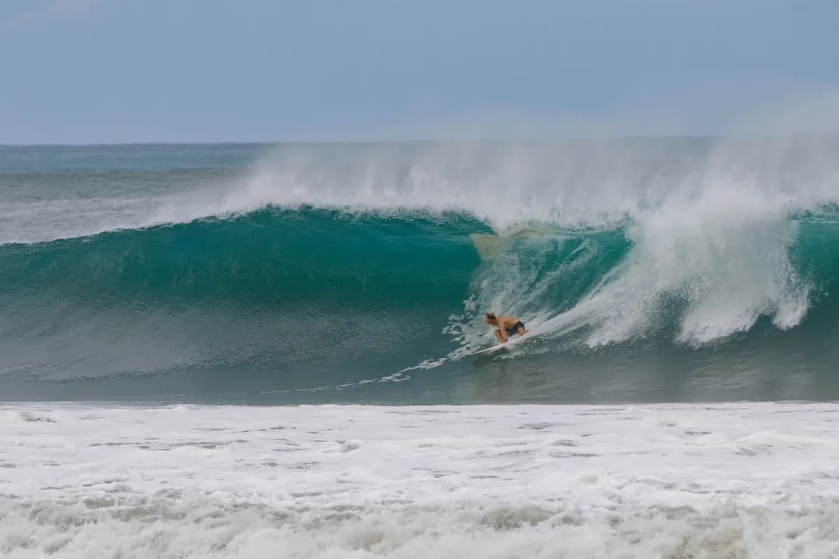 Surfer @springfieldsurf charging through a solid barrel wave.