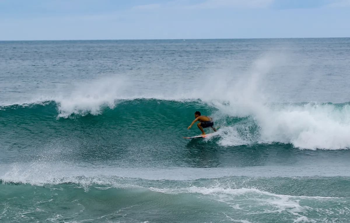 Surfer executes a smooth bottom turn on a peeling wave.
