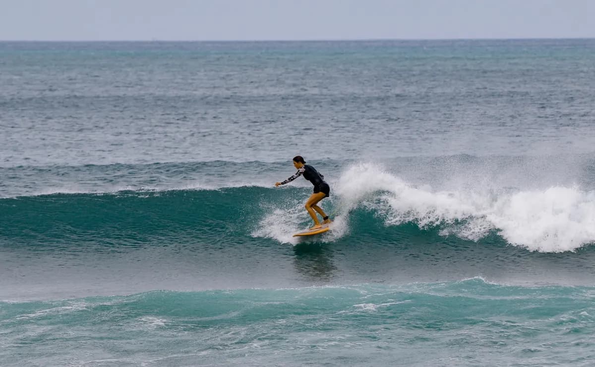 Surfer executes a smooth cutback on a mellow wave.