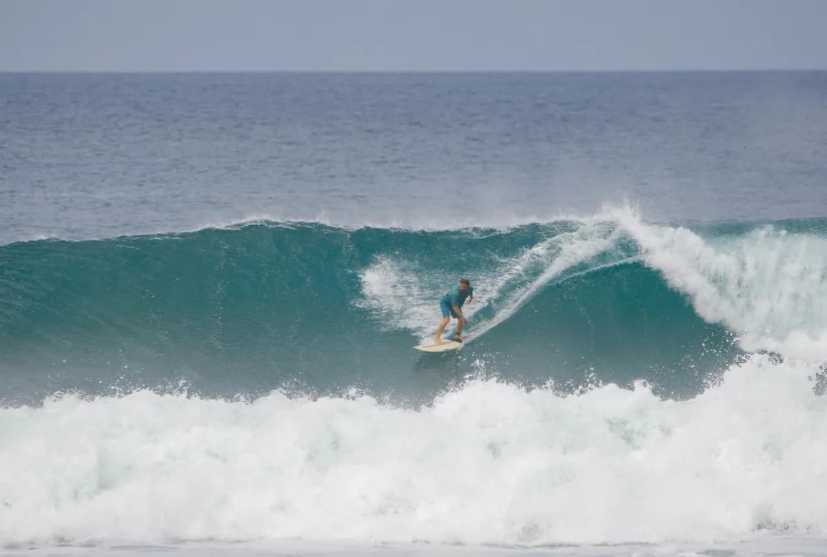 A surfer rides a powerful wave face gracefully.