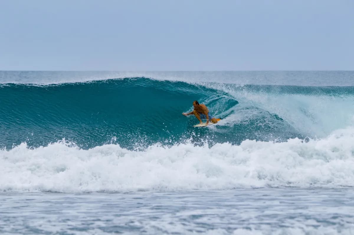 @carlos-nsr skillfully rides inside a perfect barrel.