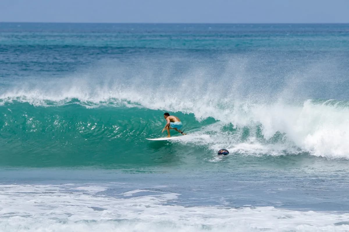 Surfer drops into a clean green wave as another dives under.