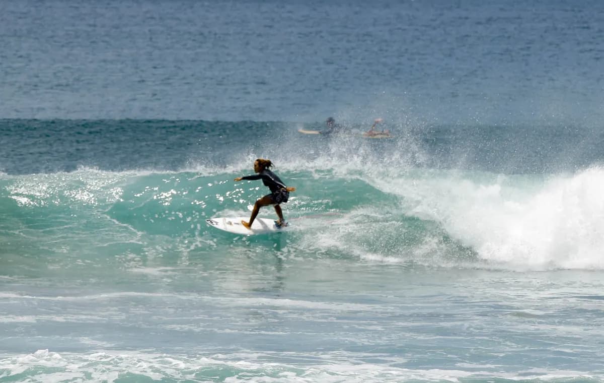 Surfer executing a stylish cutback on a peeling wave.