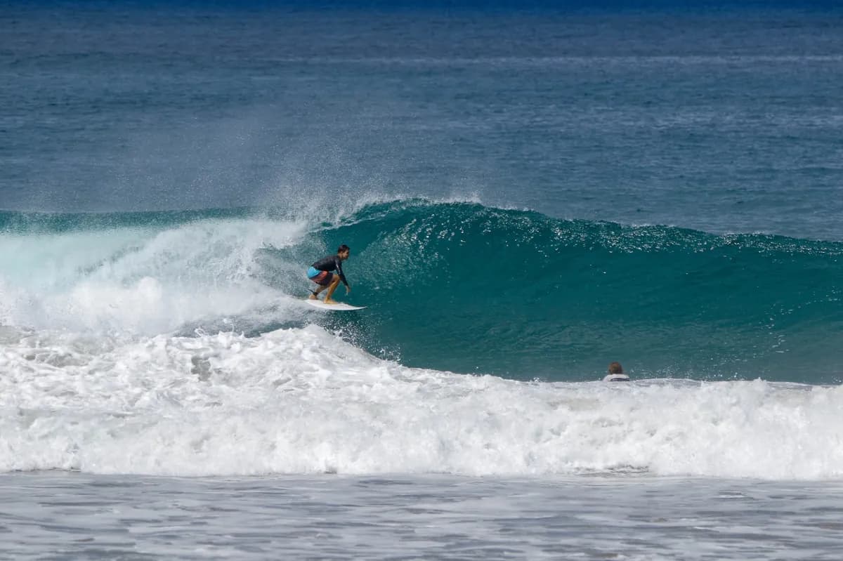 Surfer rides a clean wave on a bright day.