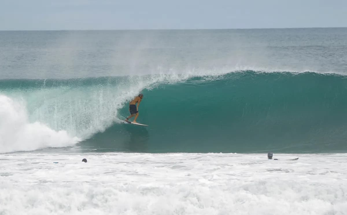 Report image