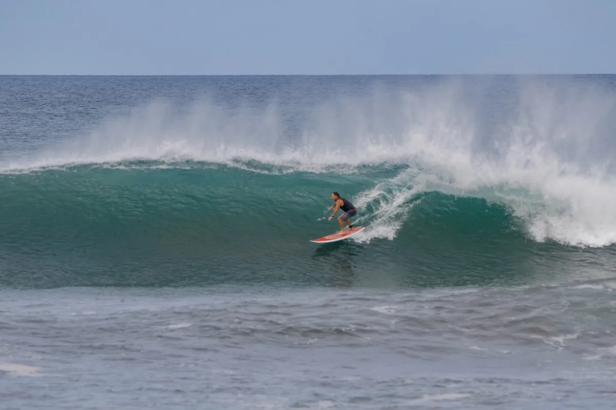Surfer rides a powerful turquoise wave gracefully.