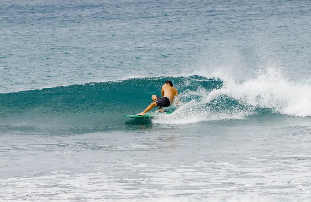 Surfer rides a small, clean right-hander wave.