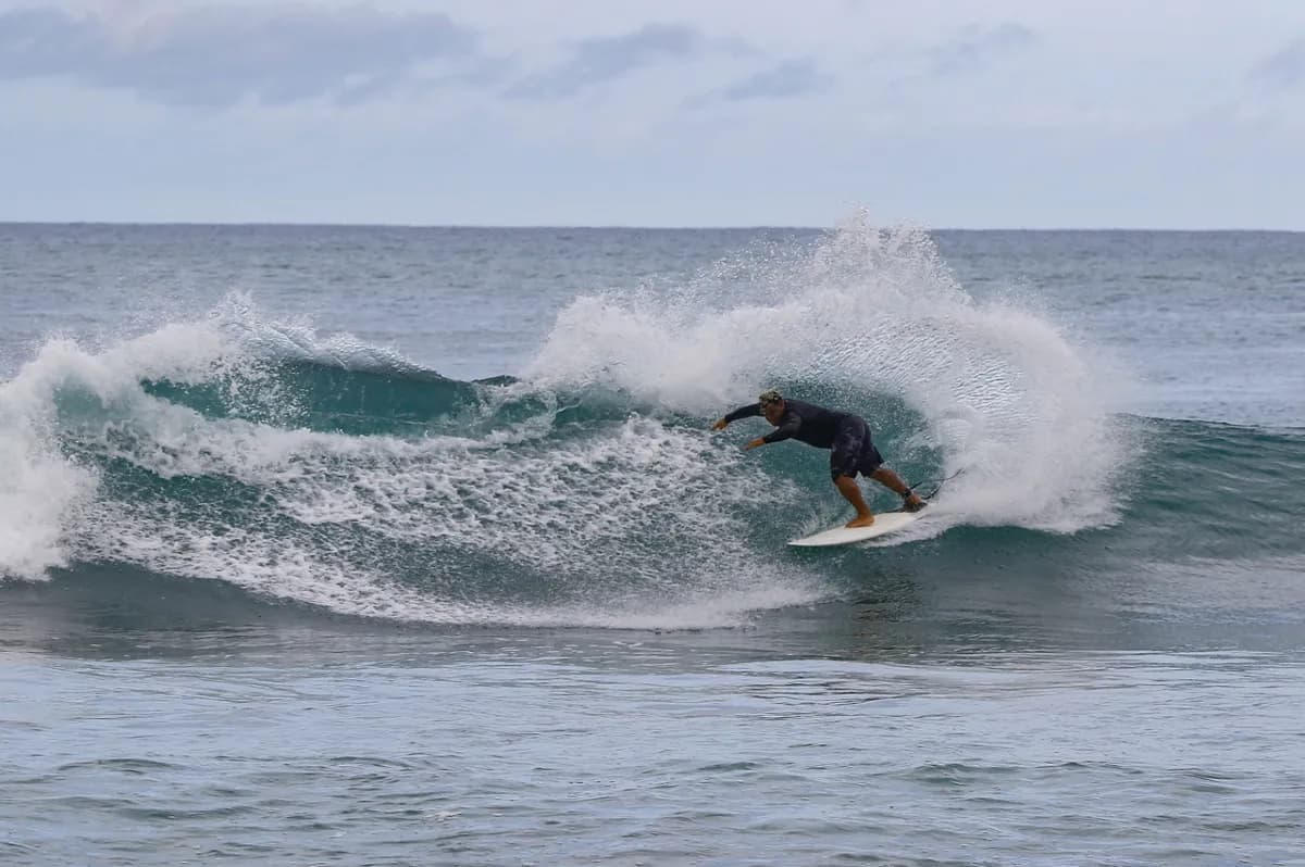 Surfer executes a sharp cutback on a medium wave.