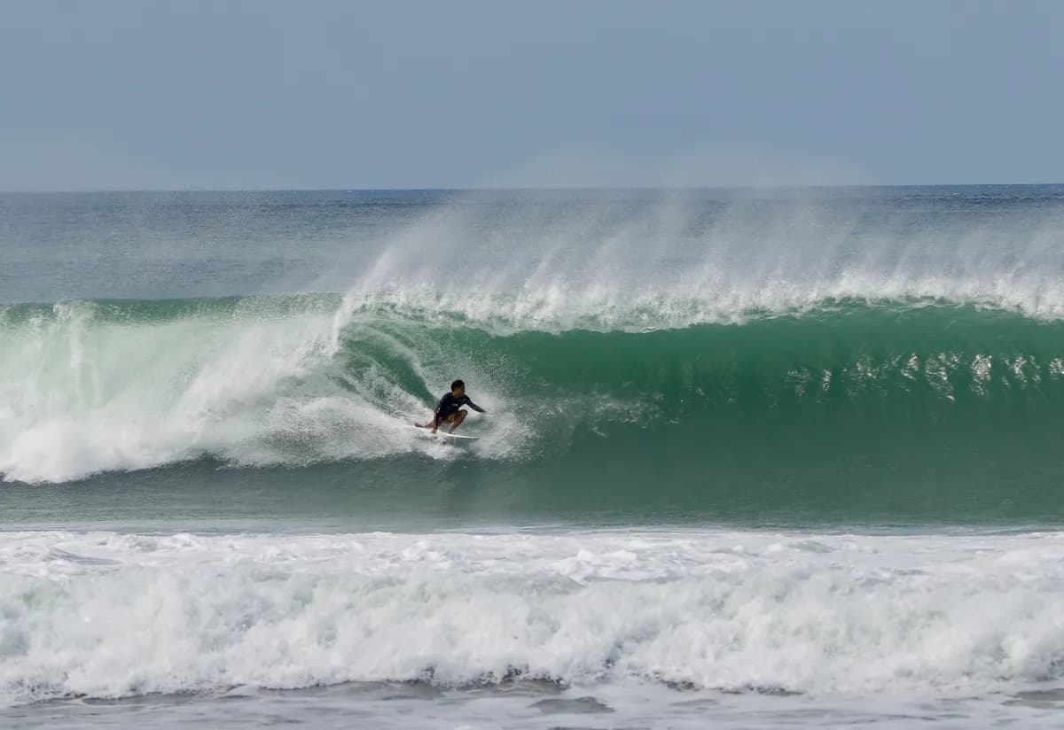 Surfer carves through a powerful right-hand barrel in pristine water.