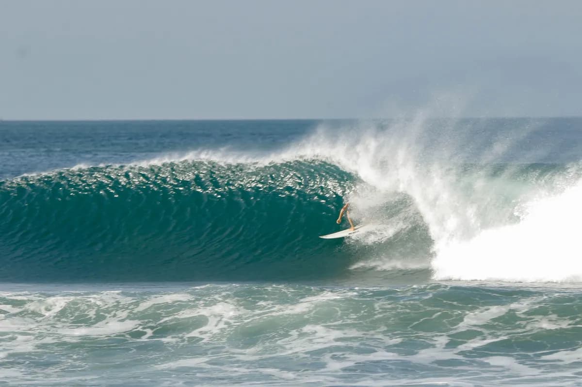 Surfer rides a perfect hollow wave at Colorados beach.