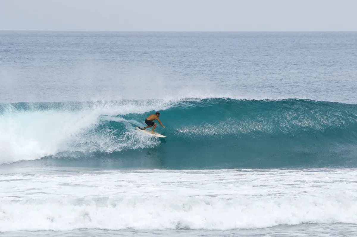 Surfer crouches low inside a glassy right-hand barrel.