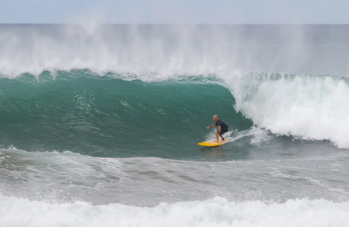 Surfer rides a powerful, curling green wave.