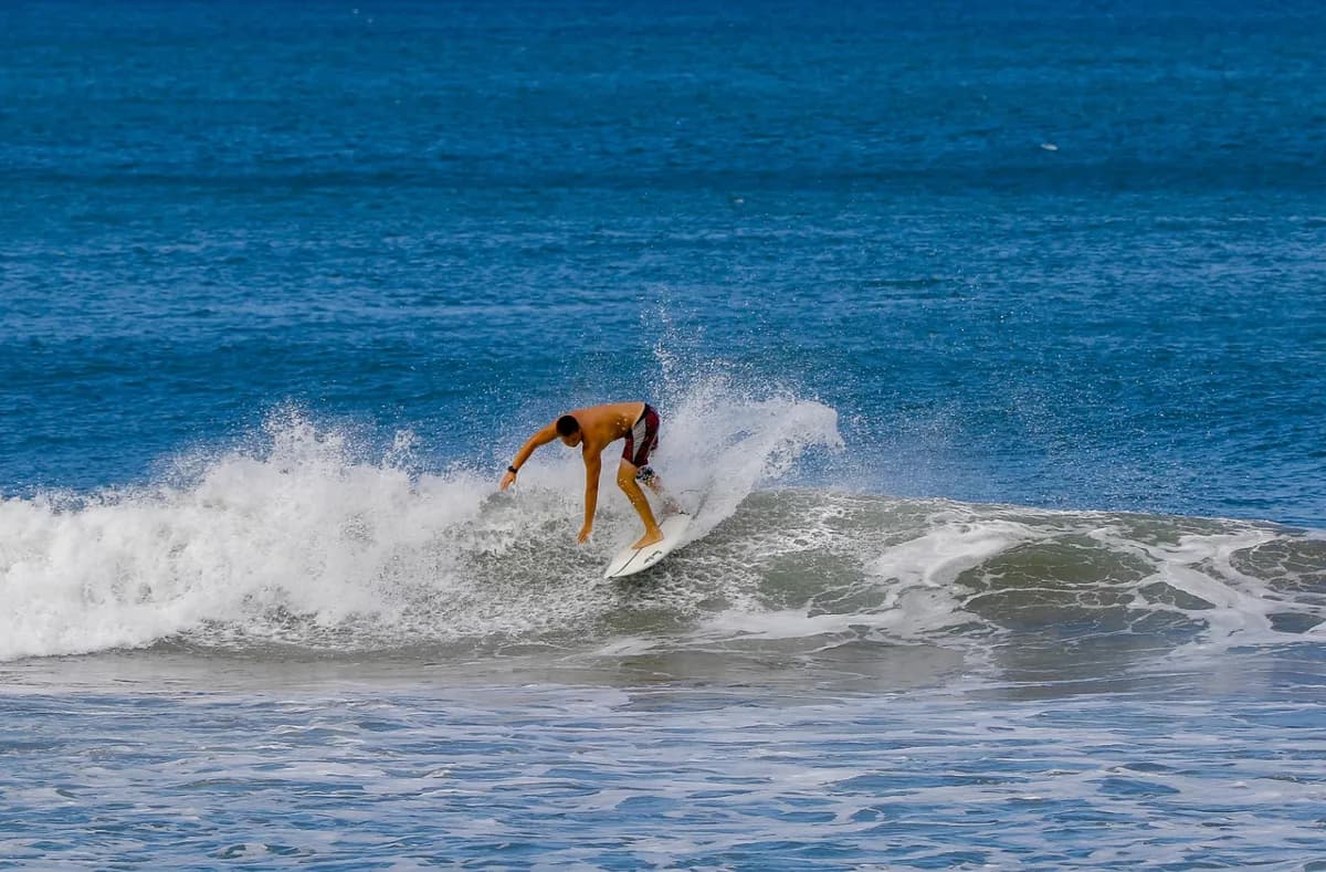 Surfer executes a sharp turn on a small wave.