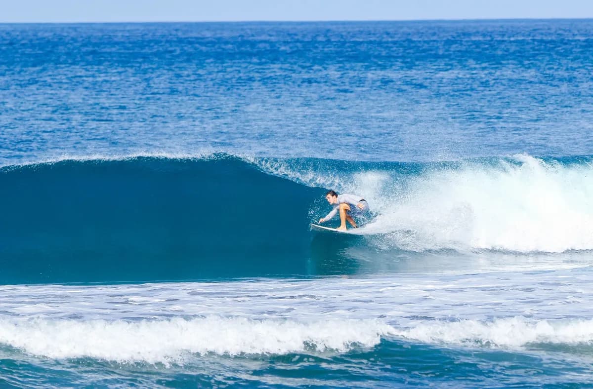 Surfer crouches low on a clean, peeling right wave.
