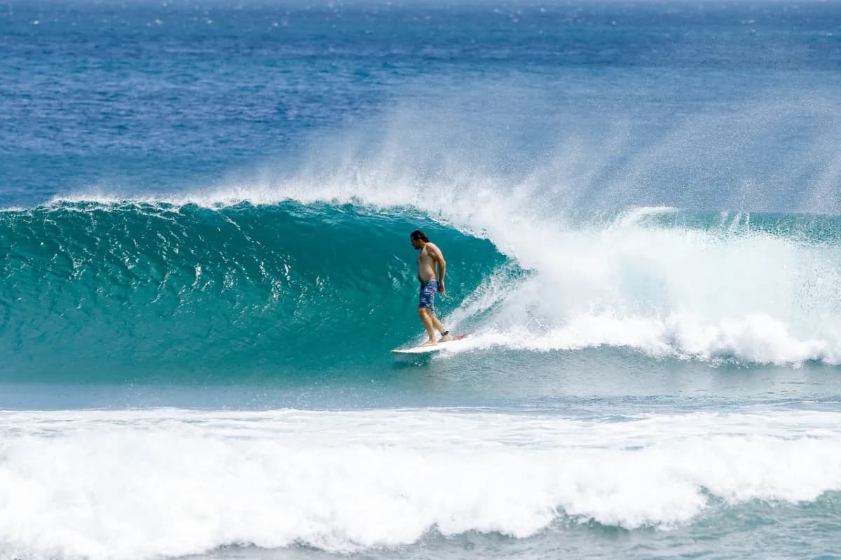 Surfer rides a smooth barreling wave with precision and flow.