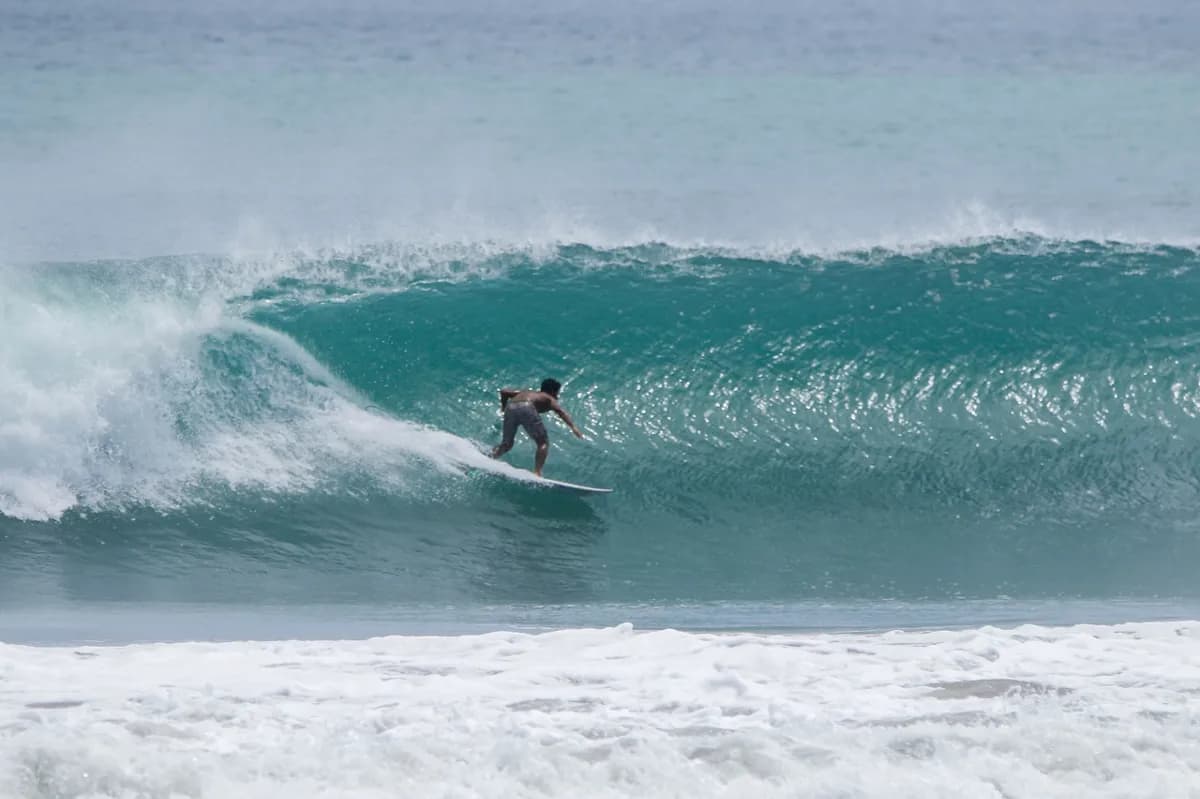 Surfer rides a clean right barrel wave with precision.