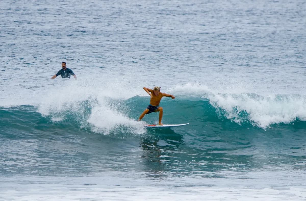 A surfer performs a cutback on a small wave.