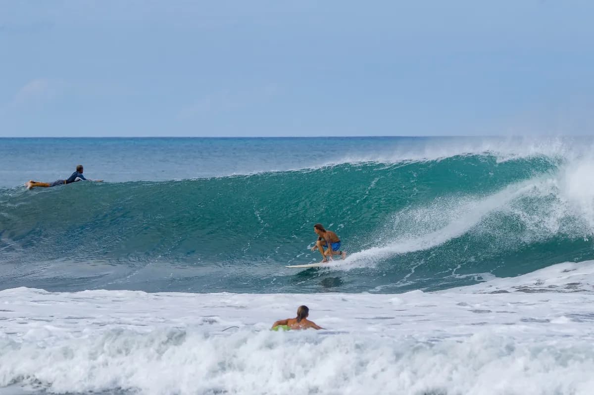 Surfer rides a big, hollow wave towards the right.