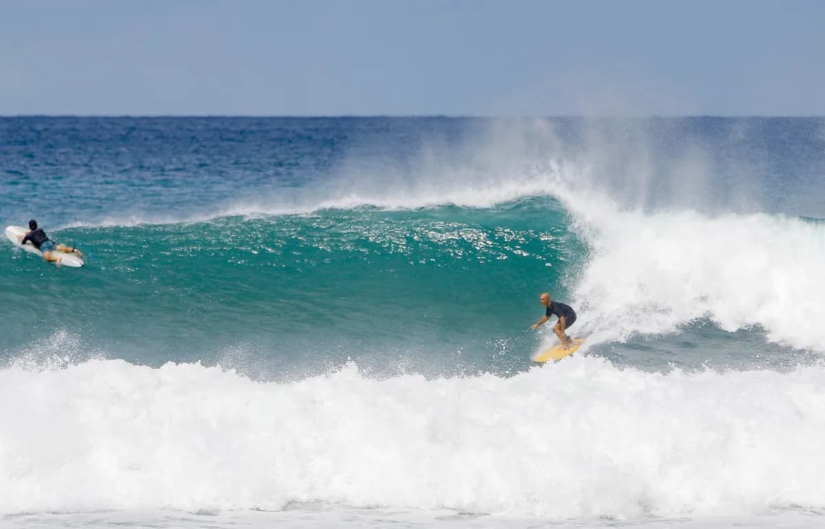 Surfer rides along a green wave with white foam crashing.