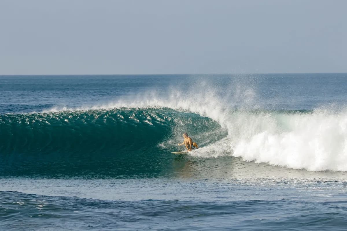 Surfer skillfully navigating a smooth green barrel with precision.