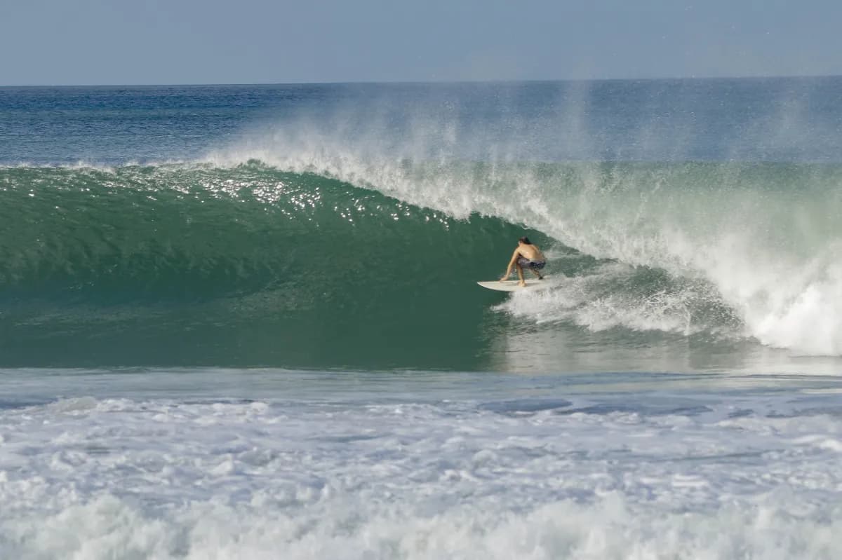 Surfer navigates a smooth right-hand barrel with ease.