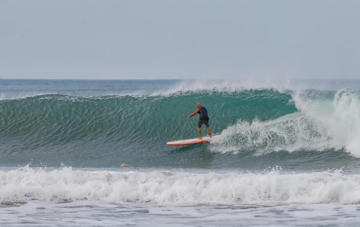 Surfer rides a turquoise wave gracefully.