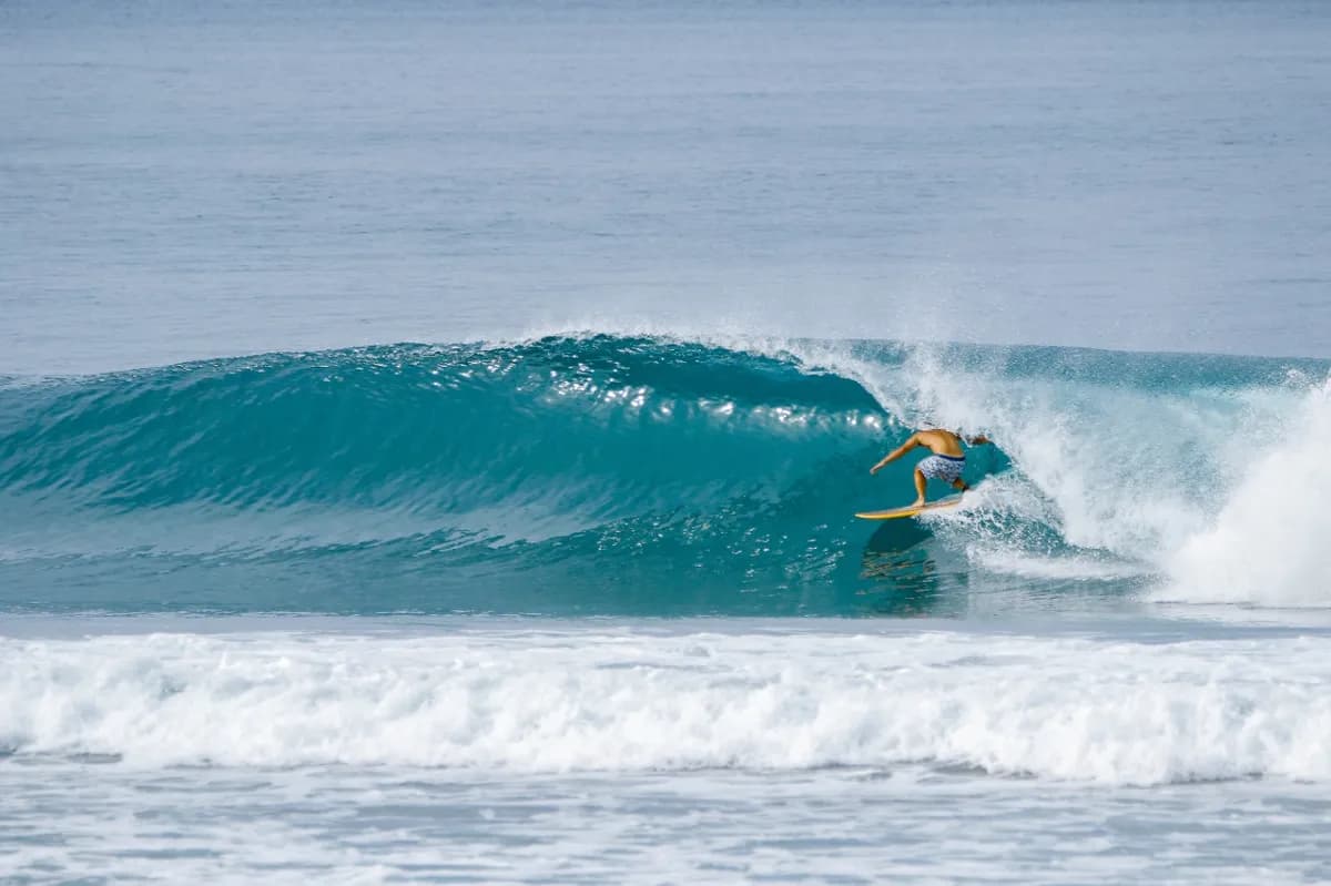 Surfer rides a perfect barrel while crouched low.