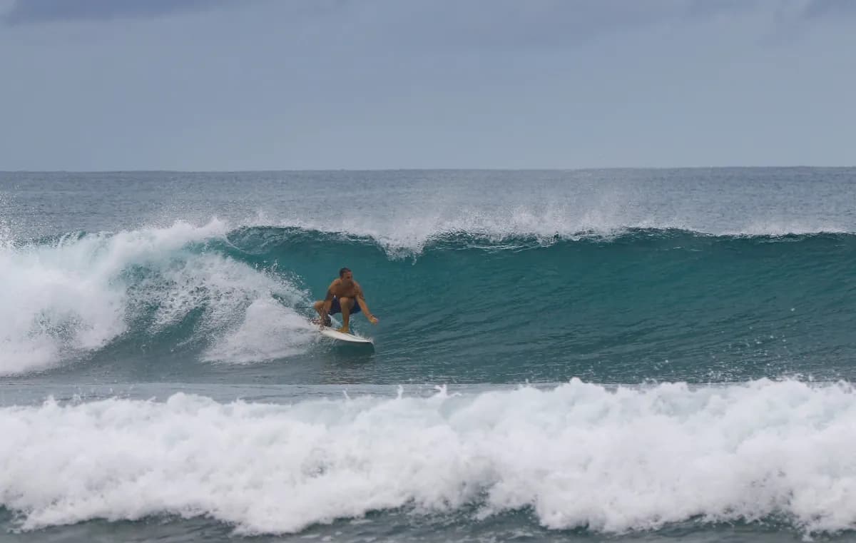 Surfer executing a powerful bottom turn on a clean wave.