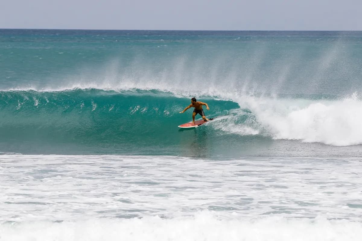 Surfer rides a clear barrel with precision and speed.