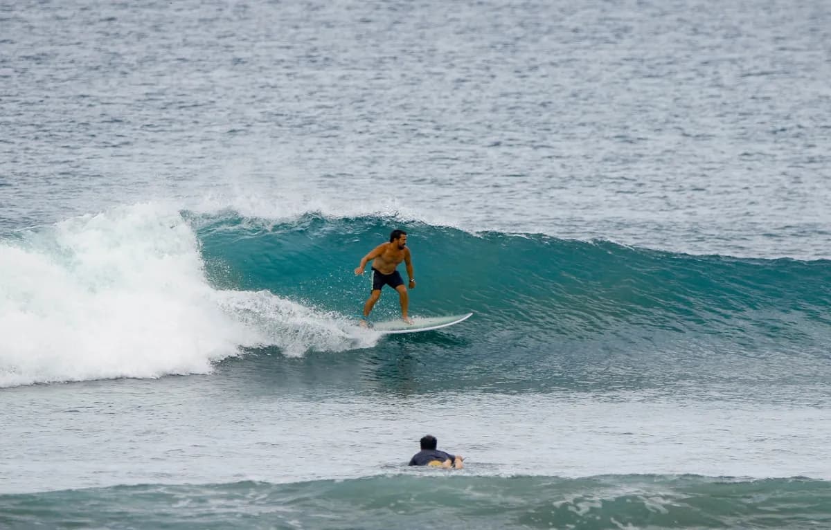 Surfer rides a clean right-hand wave in perfect stance.