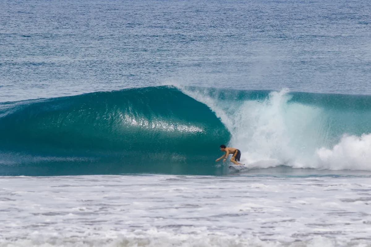 Surfer @maximogattas dropping into a perfect barrel.