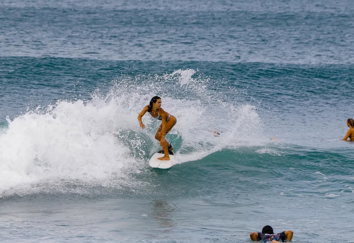 Surfer executes a smooth cutback on a clean wave face.