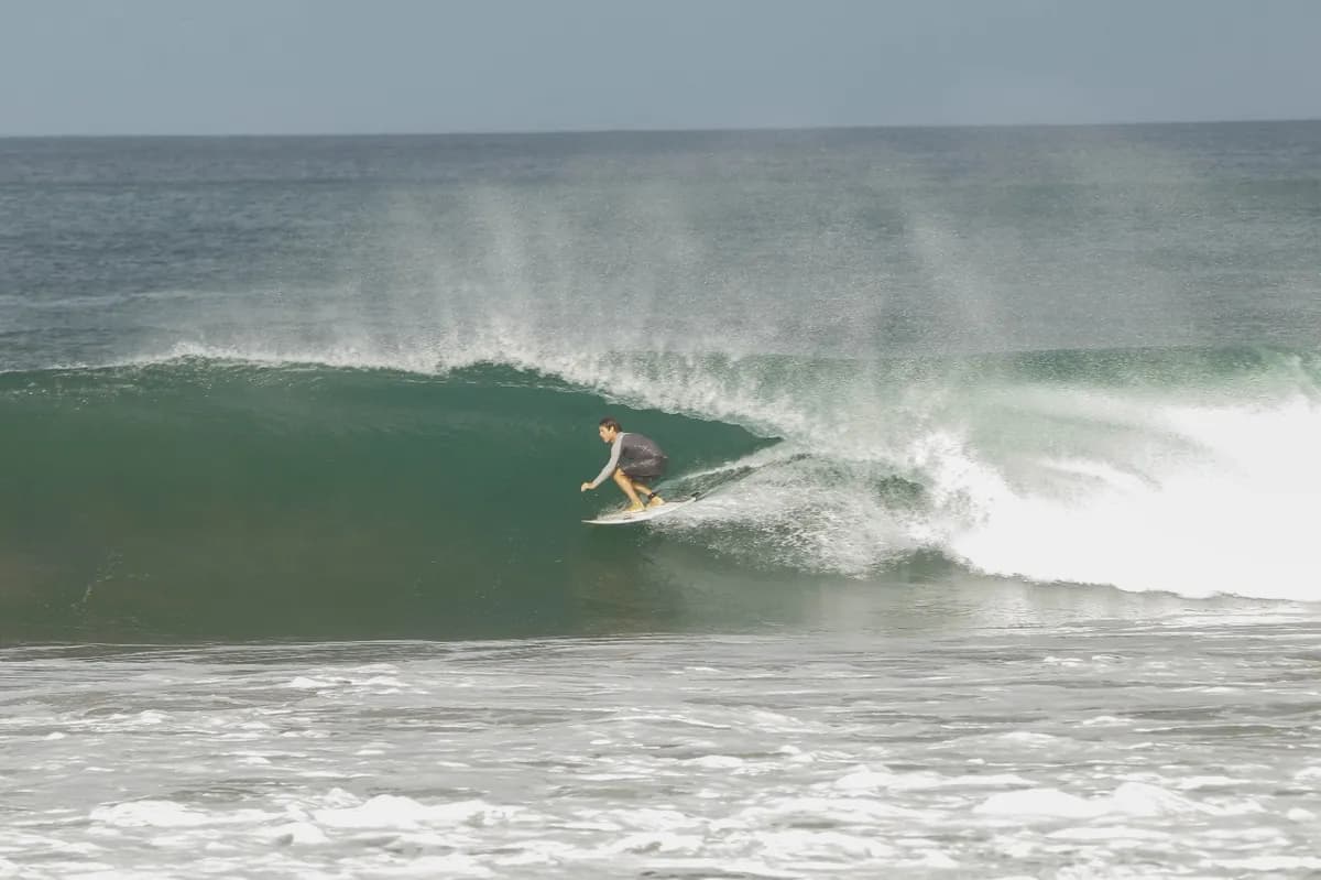 Surfer crouches elegantly inside a perfect green barrel.