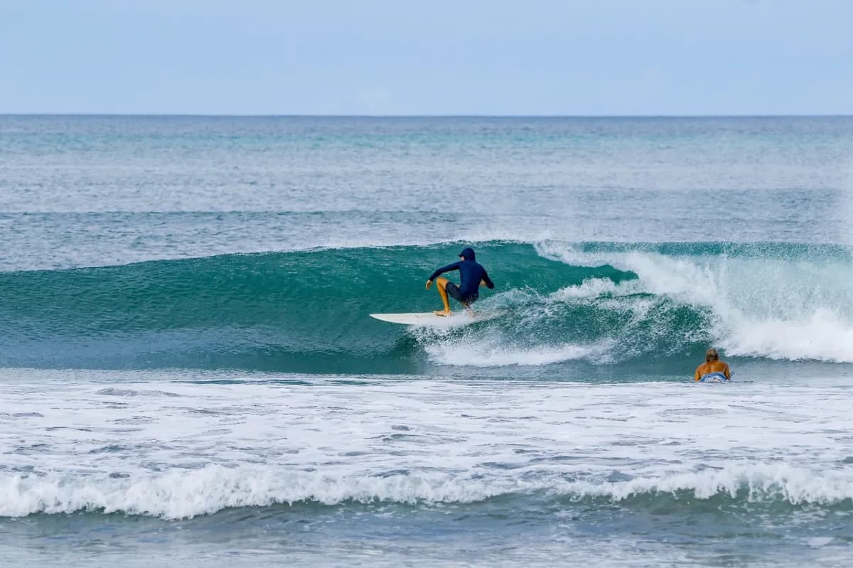 Surfer crouches into a small, clean right-hand wave.