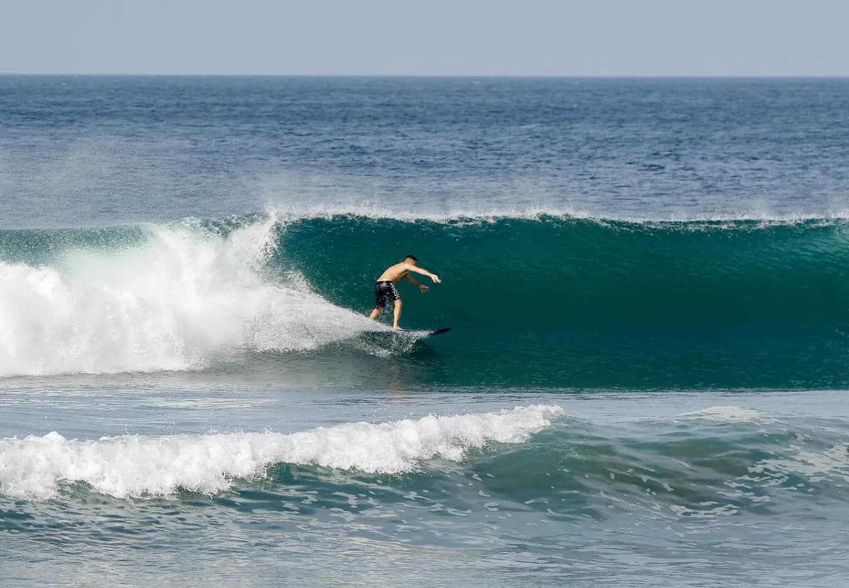 Surfer crouches inside a clean, hollow wave.