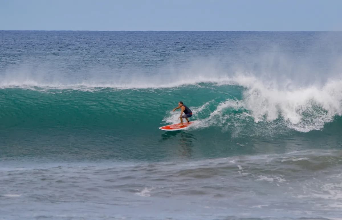 Surfer rides a powerful wave beneath a blue sky.