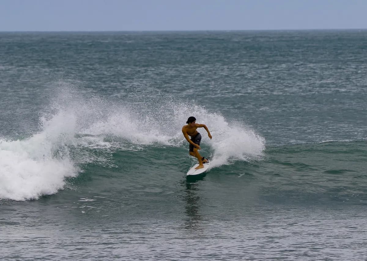Surfer performs a smooth cutback on a small wave.