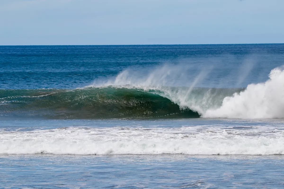 Perfect curling wave with misty spray rises high.
