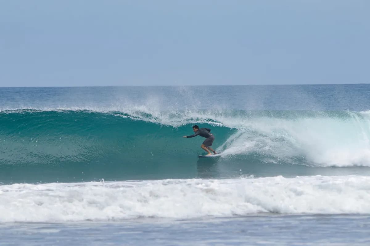 Surfer riding a smooth right-hand barrel.