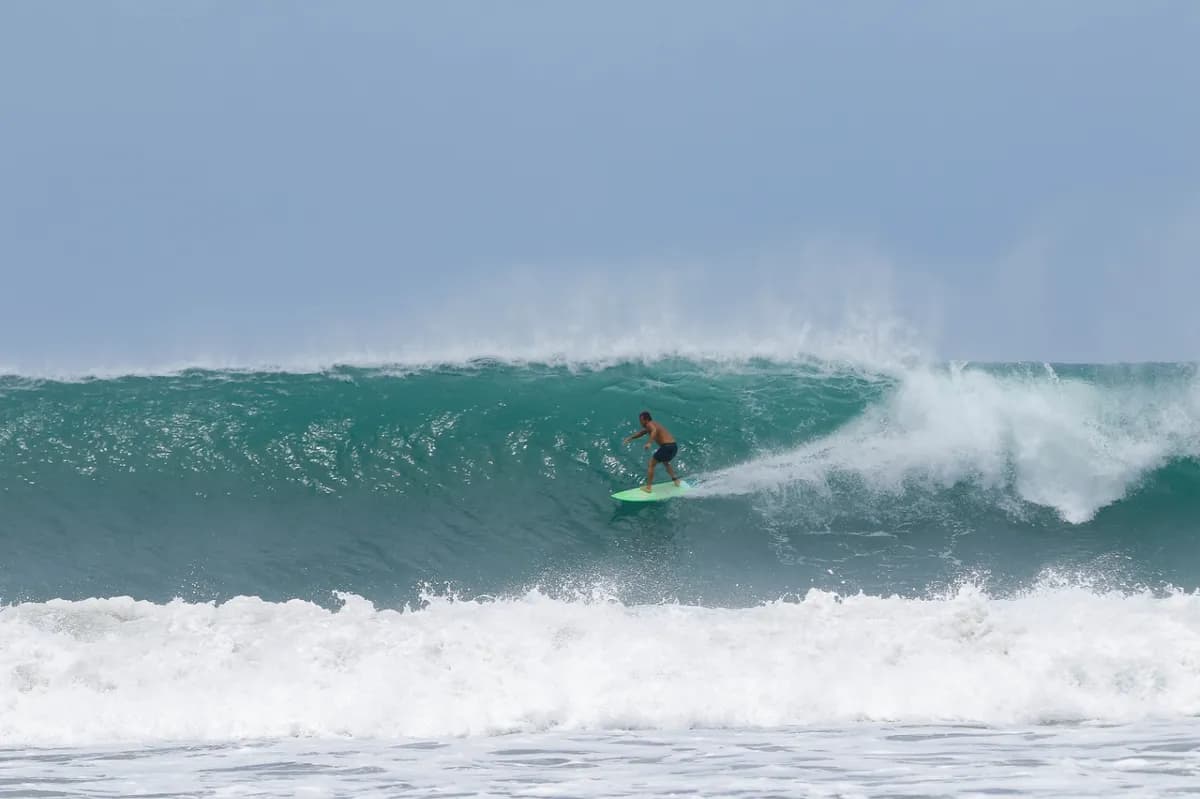 Surfer rides a large wave on a sunny day.