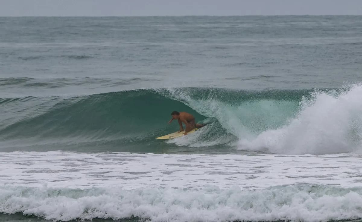 Surfer skillfully rides inside a curling wave.