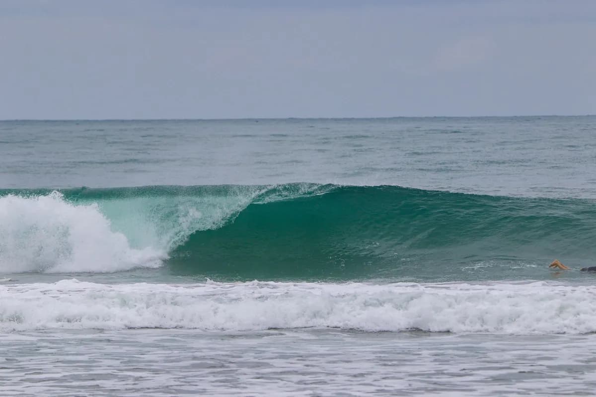 Perfect barrel wave cresting in the sea.